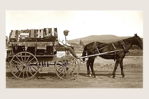 Morris-Brown-Lebermuth-Horse-Cart-Header-Large