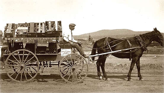 Morris-Brown-Lebermuth-Horse-Cart