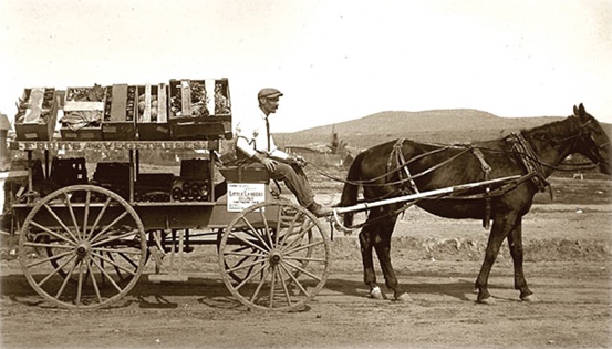Morris-Brown-Lebermuth-Horse-Cart