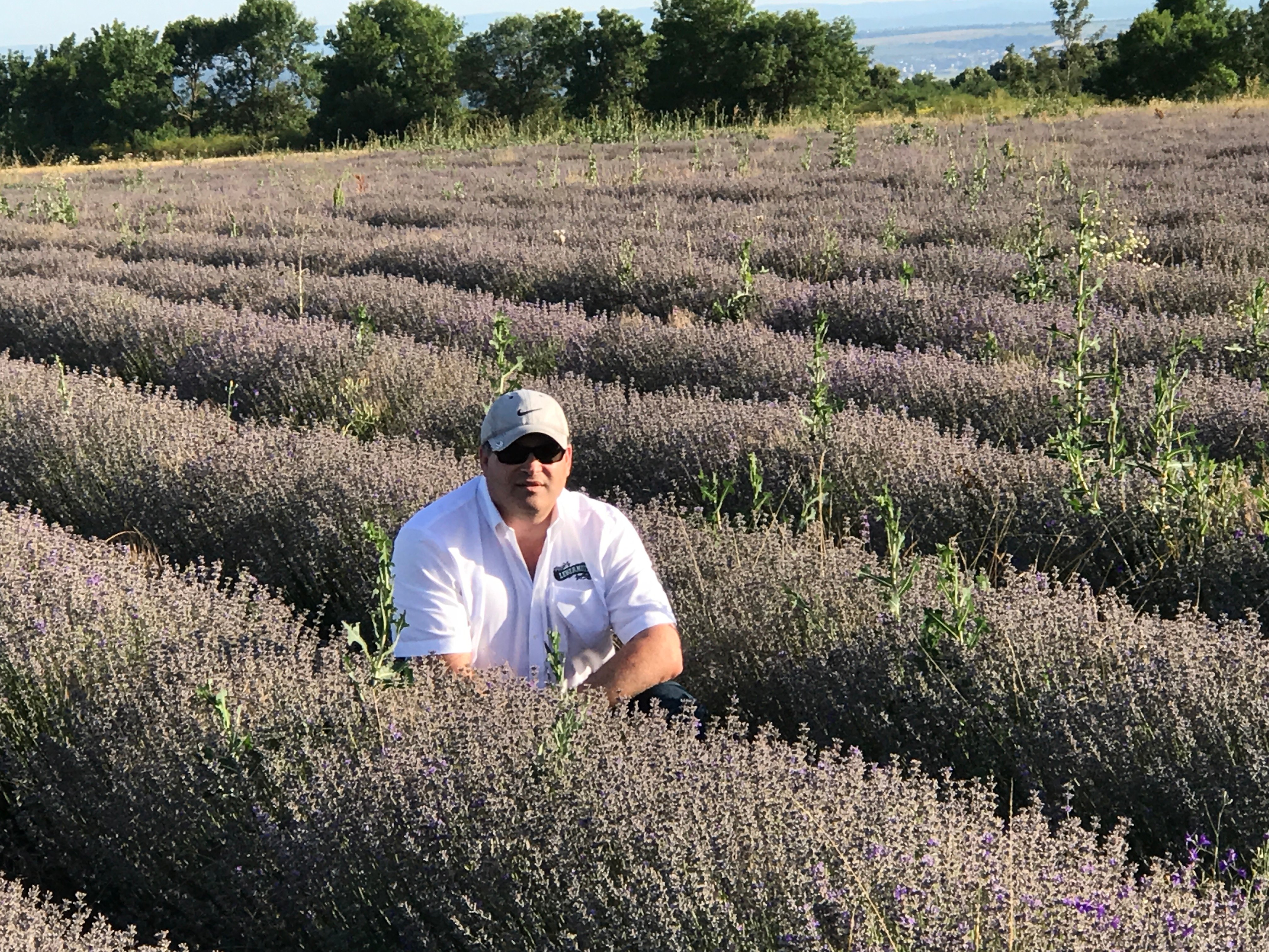 Alan_Bulgarian Lavender Field