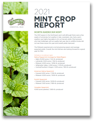 Lebermuth Mint Crop Report 2021