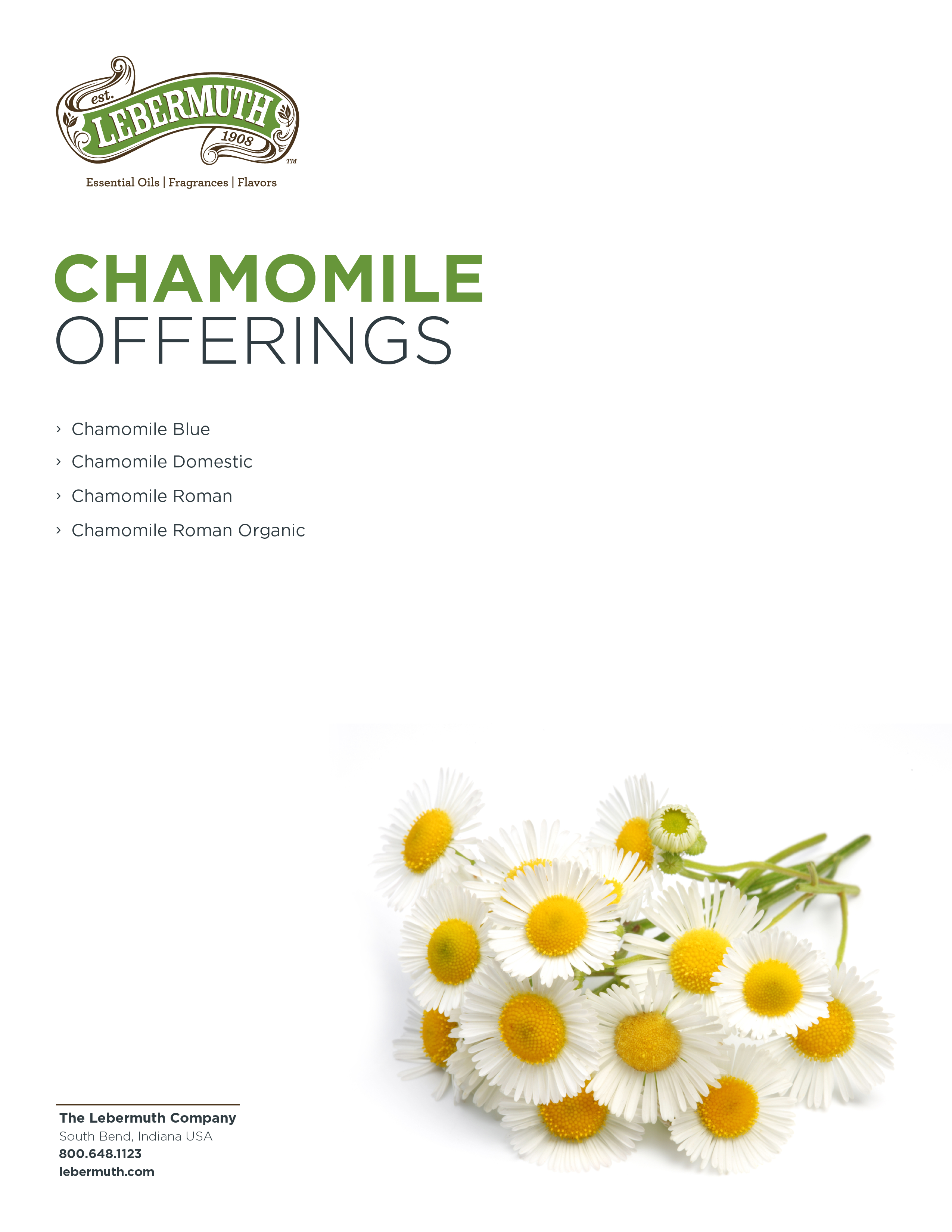 Lebermuth Chamomile Offerings-1