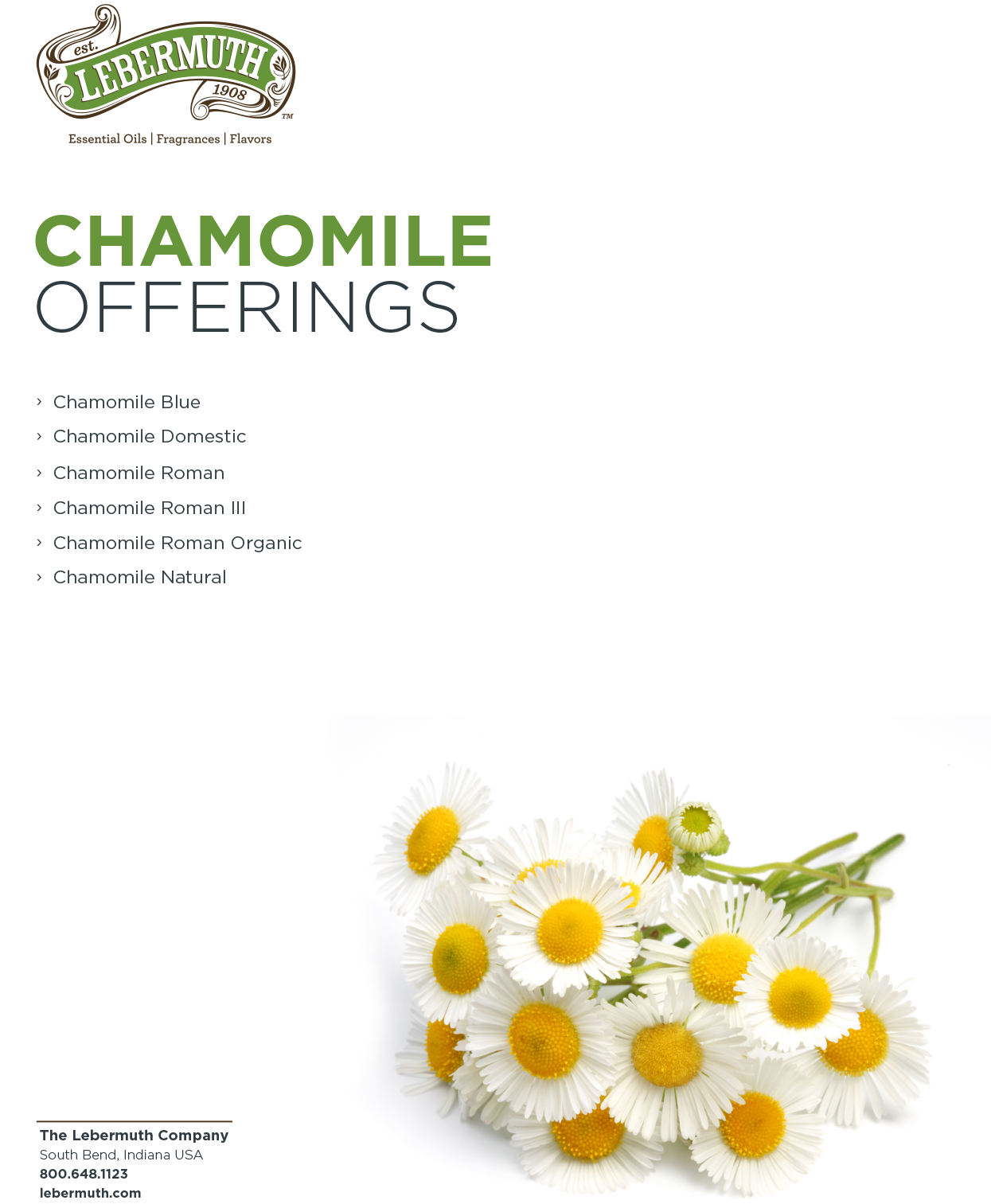 Lebermuth Chamomile Offerings